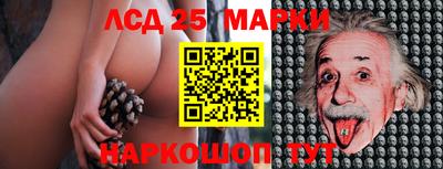 гидра Славгород