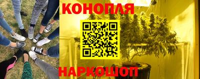 гидра Славгород