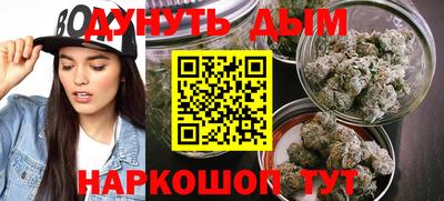 гидра Славгород