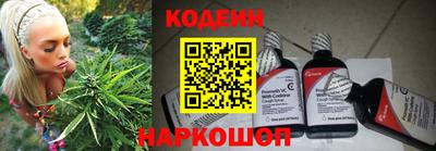 гидра Славгород