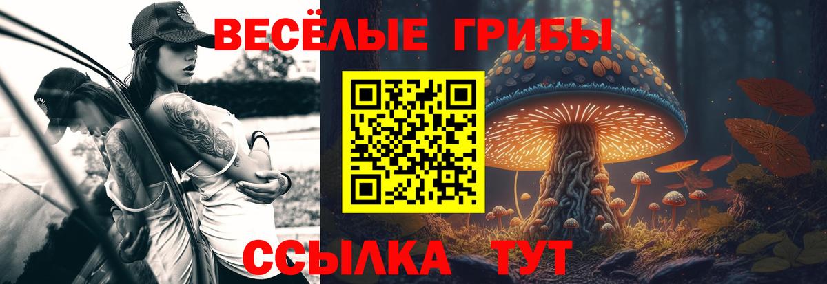 Норильск  Псилоцибиновые грибы MAGIC MUSHROOMS  Вход с VPN 