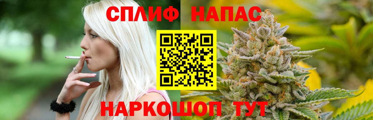 Марихуана Bruce Banner  Шишки марихуана гибрид  Вход с VPN  Норильск  Бошки Шишки OG Kush  Шишки марихуана Ganja 